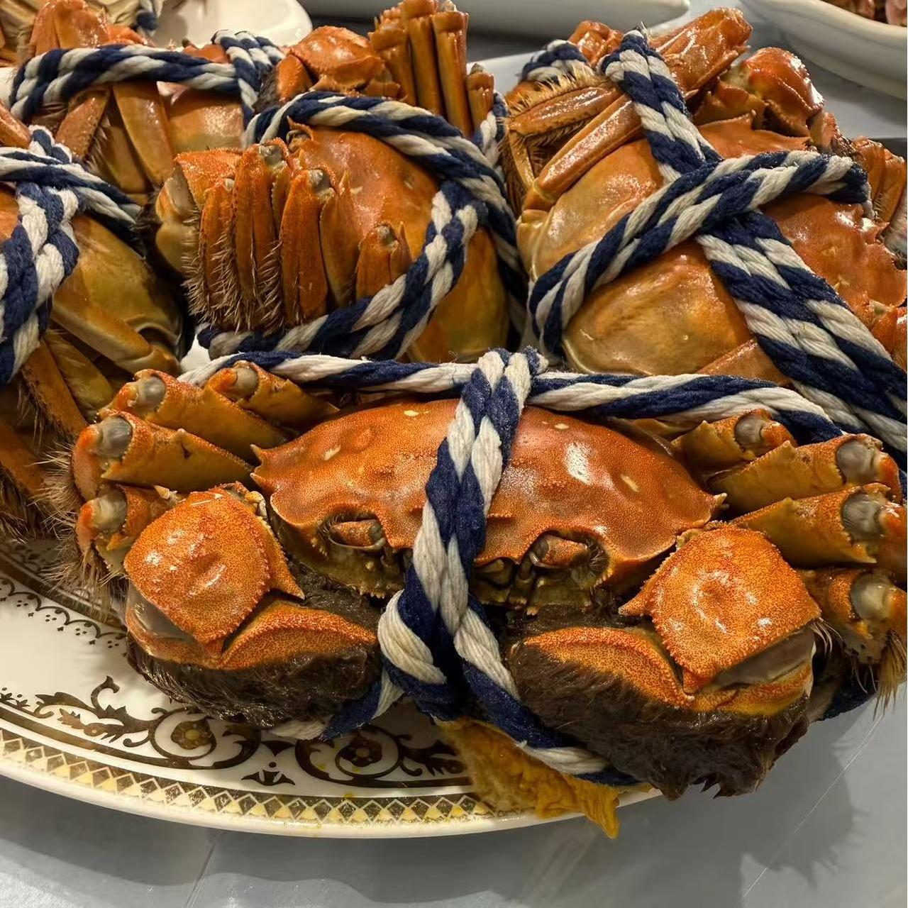 太湖大閘蟹 蟹公