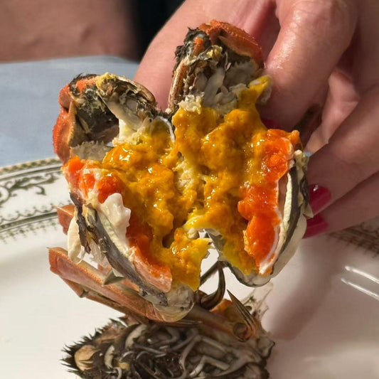 太湖大閘蟹 蟹乸